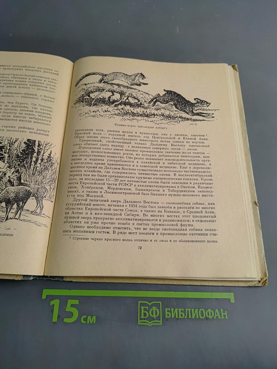Занимательная зоология. Очерки и рассказы о животных. Пособие для учащихся средних классов