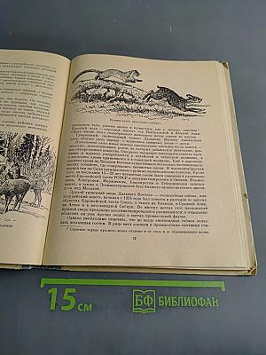 Занимательная зоология. Очерки и рассказы о животных. Пособие для учащихся средних классов