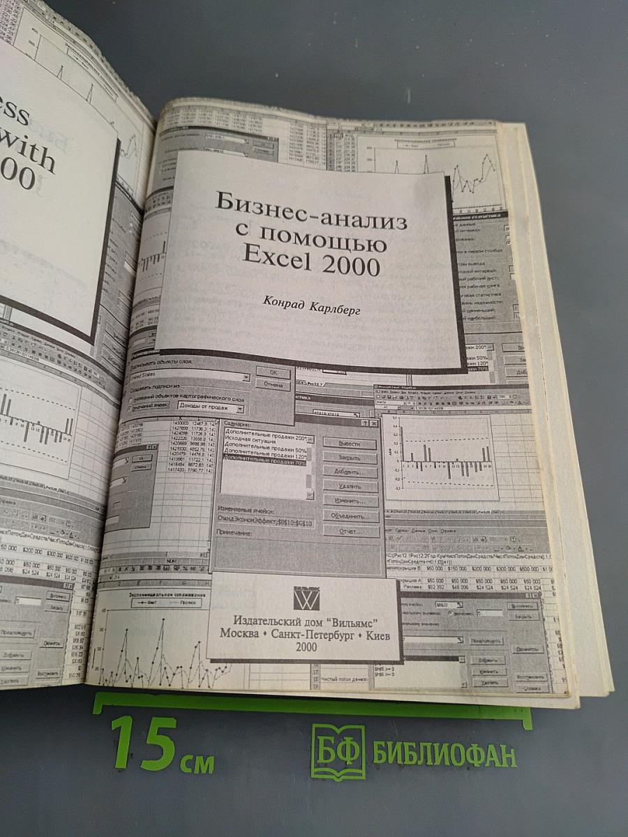 Бизнес-анализ с помощью Excel 2000
