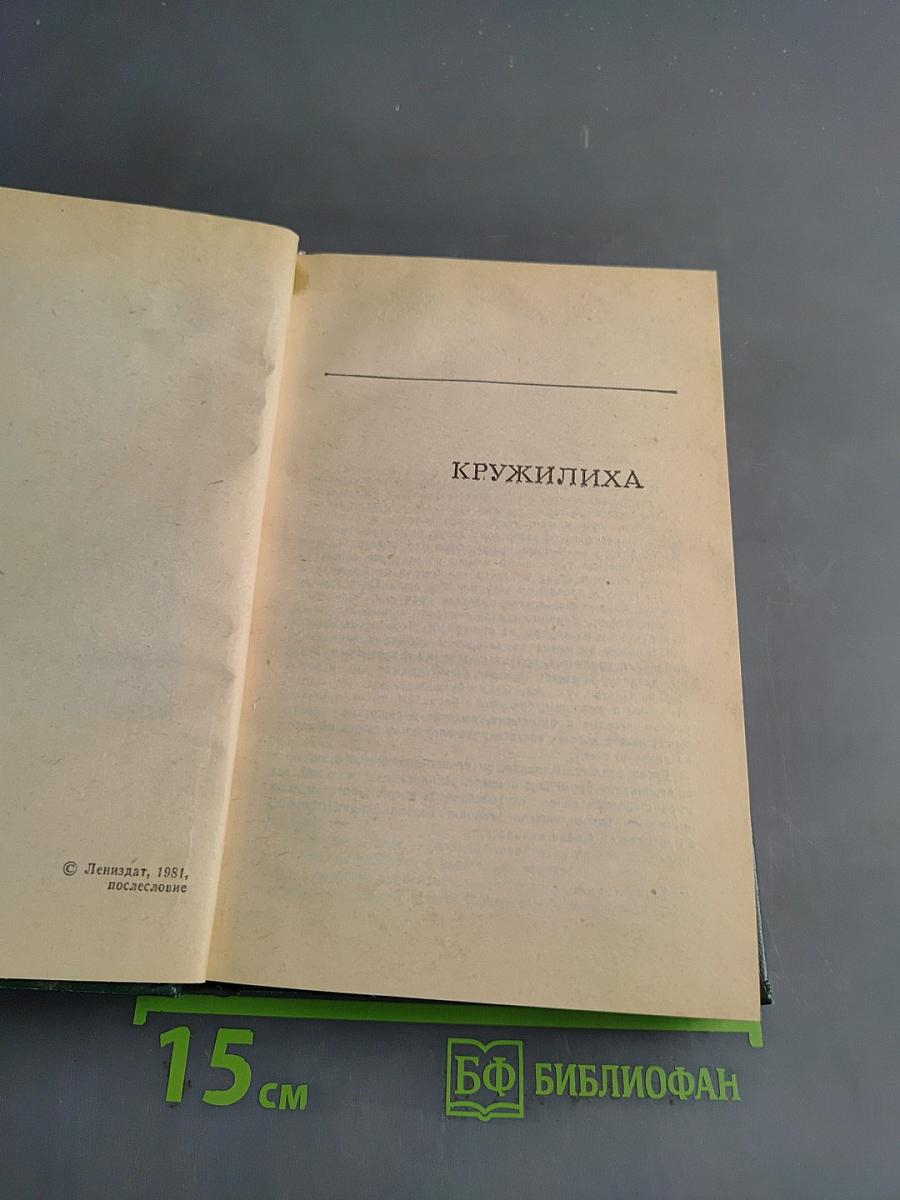 Кружилиха. Спутники