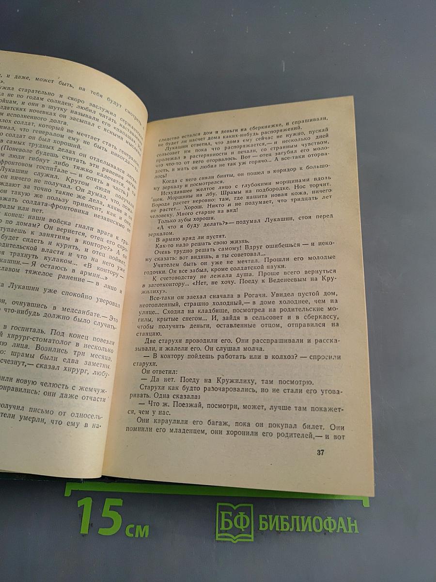 Кружилиха. Спутники