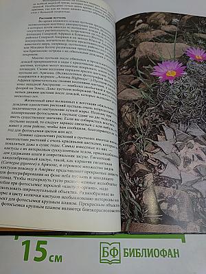 Фотографирование живой природы
