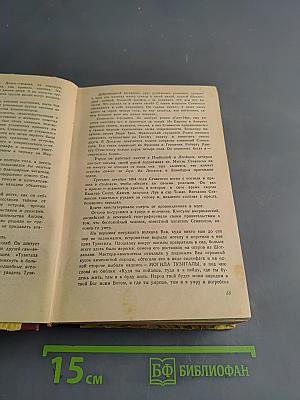 Черная стрела