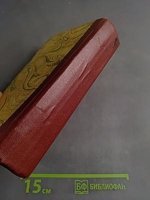 Черная стрела