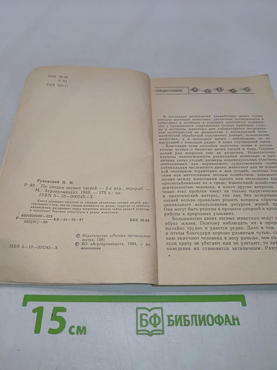 По следам лесных зверей