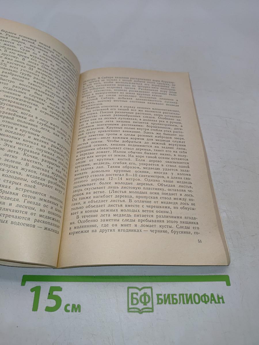 По следам лесных зверей