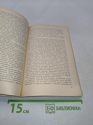 По следам лесных зверей