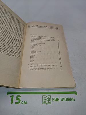 По следам лесных зверей