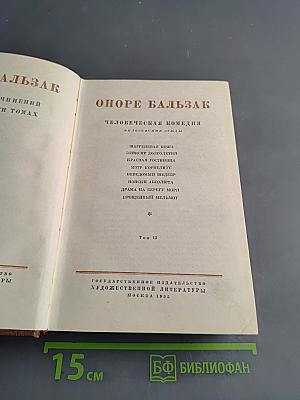 Человеческая комедия. Философские этюды. Том 13