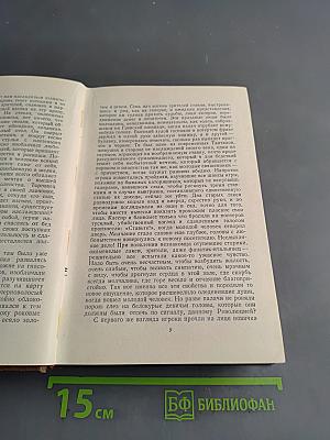 Человеческая комедия. Философские этюды. Том 13