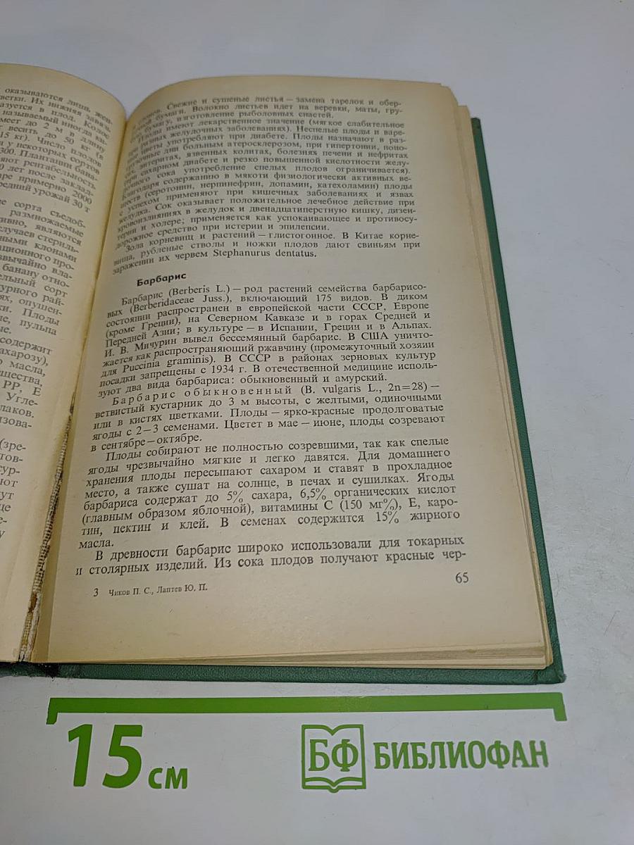 Витаминные и лекарственные растения