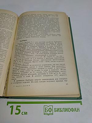 Витаминные и лекарственные растения