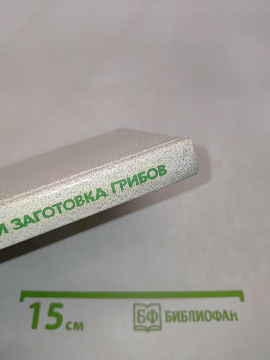 Сбор и заготовка грибов