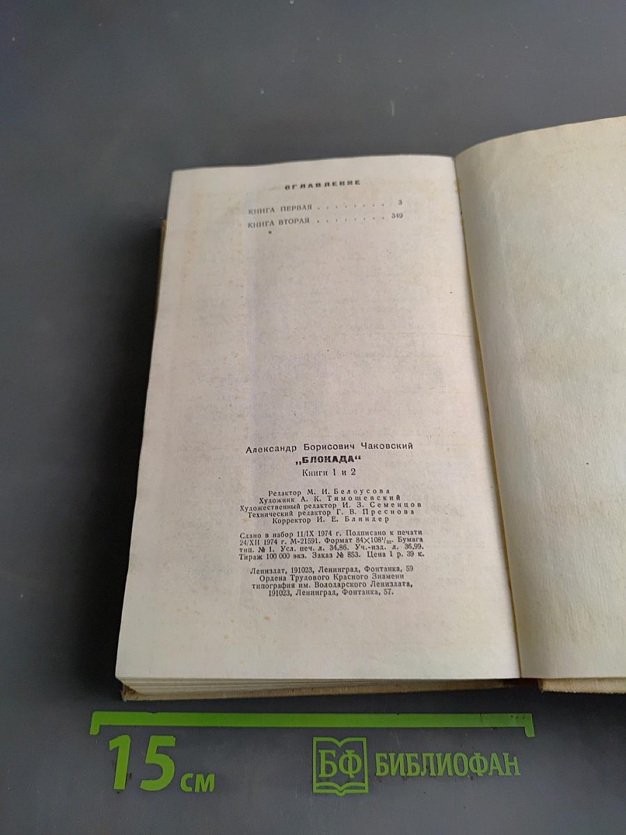 Блокада. Книги первая и вторая