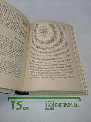 Старина Четвероног