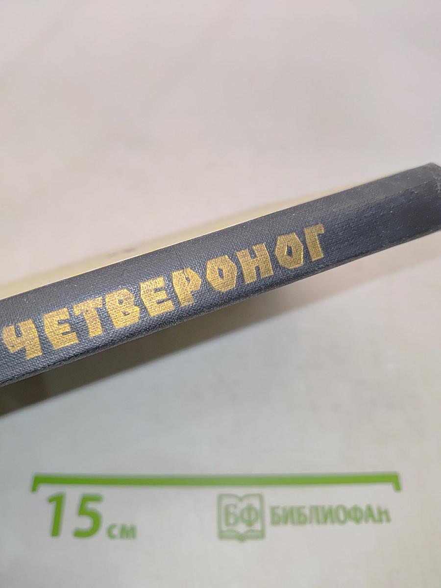 Старина Четвероног