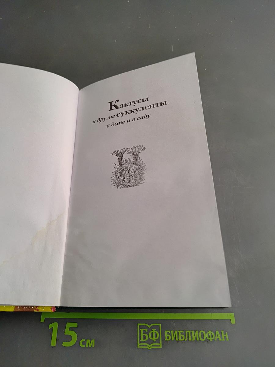 Кактусы и другие суккуленты в доме и в саду