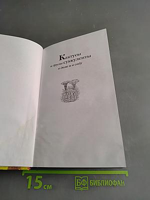 Кактусы и другие суккуленты в доме и в саду