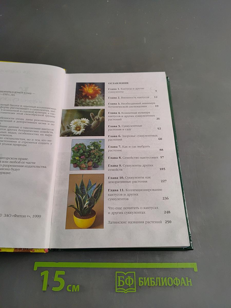 Кактусы и другие суккуленты в доме и в саду