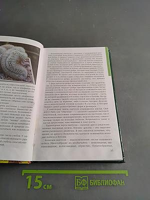 Кактусы и другие суккуленты в доме и в саду