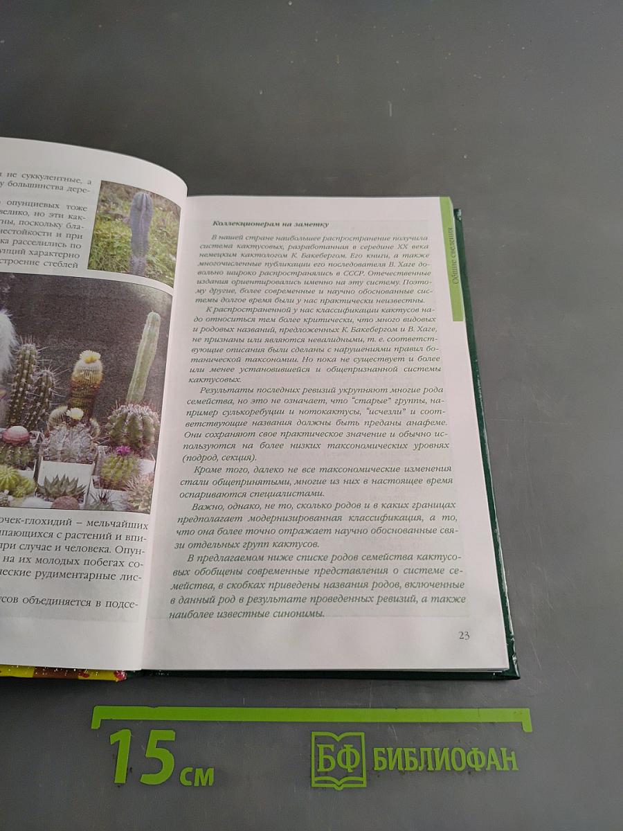 Кактусы и другие суккуленты в доме и в саду