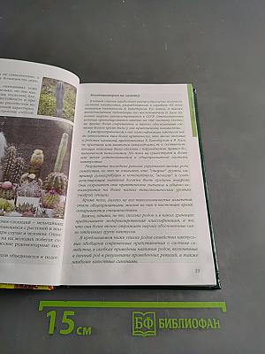 Кактусы и другие суккуленты в доме и в саду