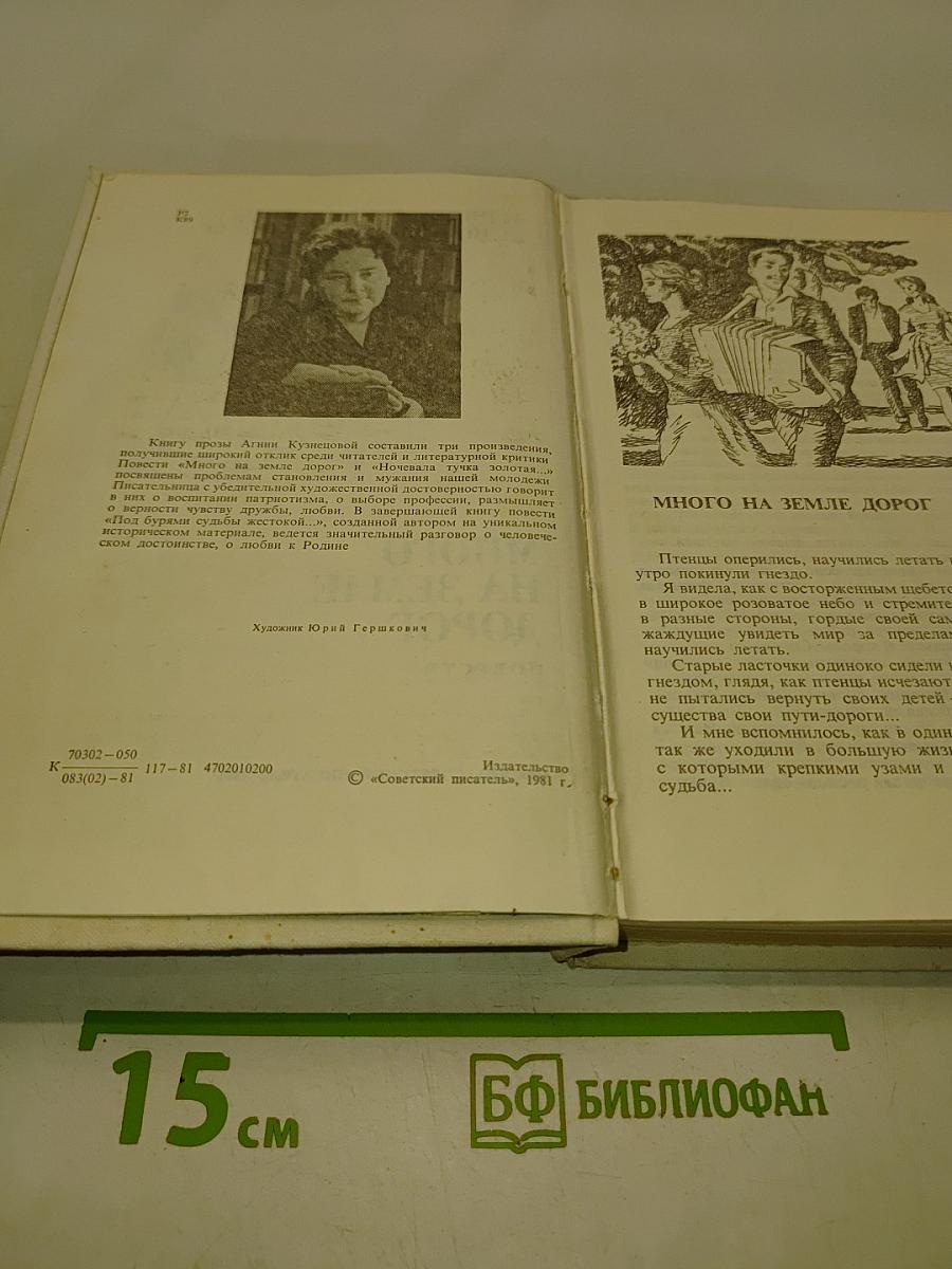 Много на земле дорог