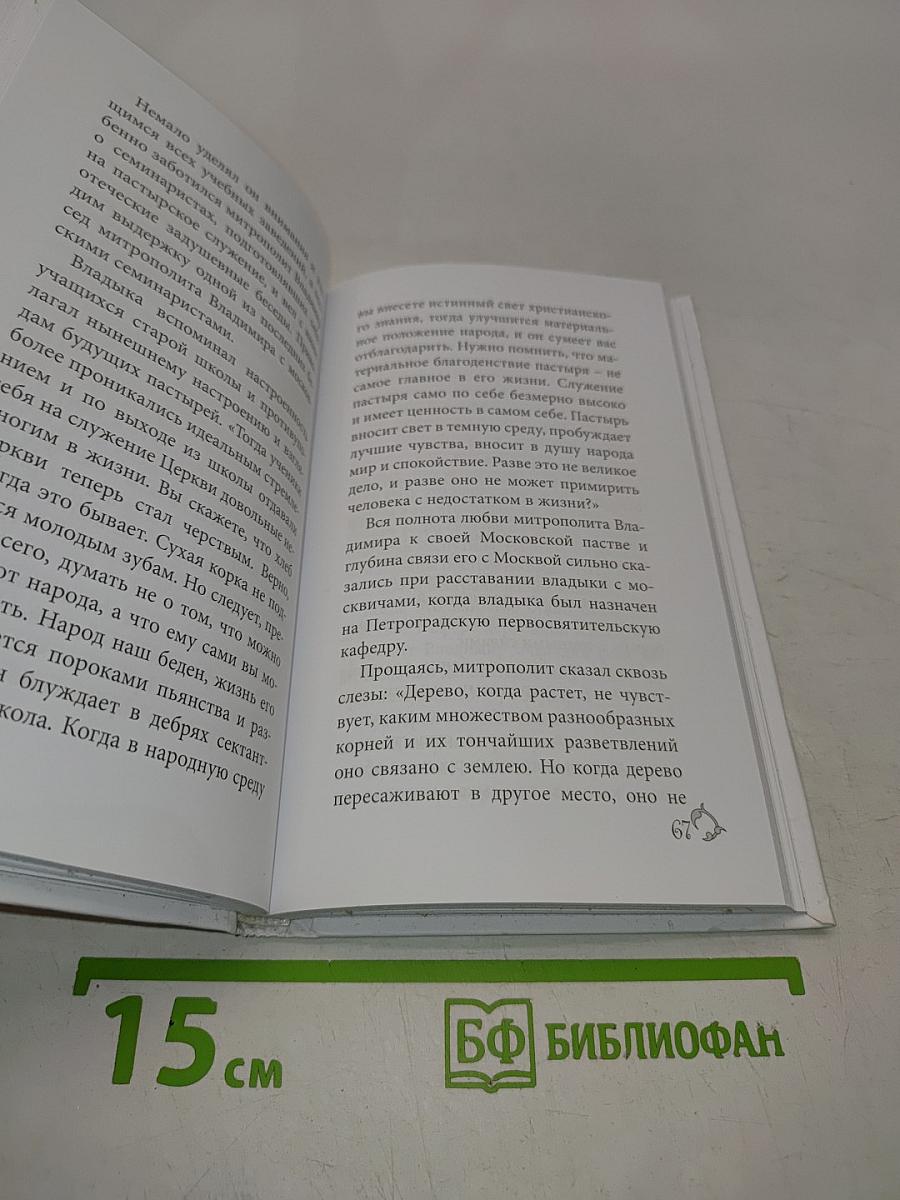 Священномученик Владимир (Богоявленский)