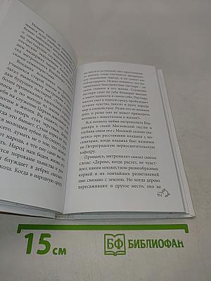 Священномученик Владимир (Богоявленский)
