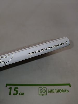 Священномученик Владимир (Богоявленский)