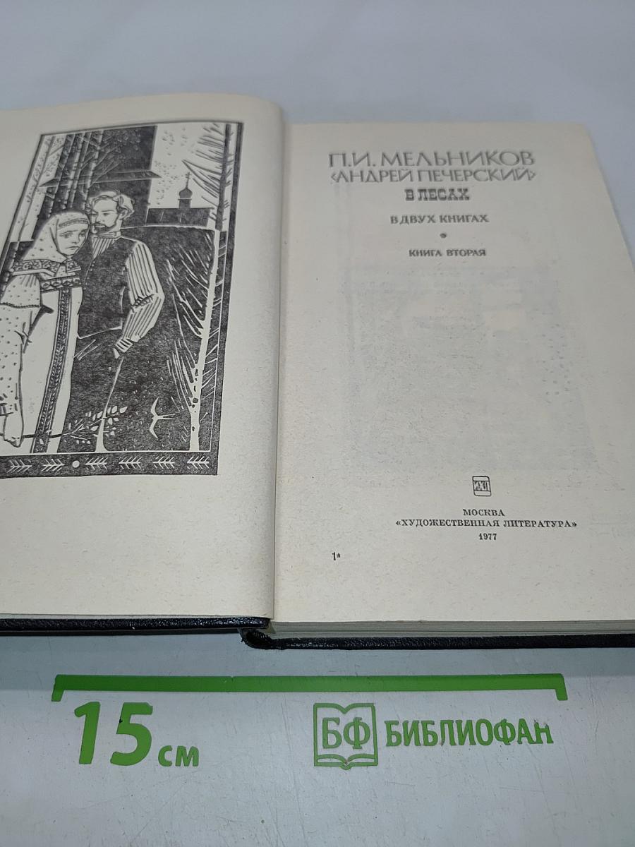 В лесах. Книга вторая