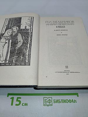 В лесах. Книга вторая