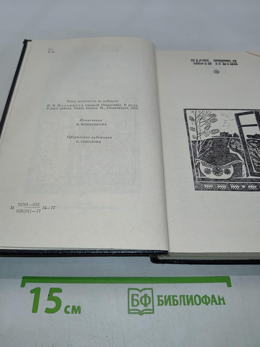 В лесах. Книга вторая