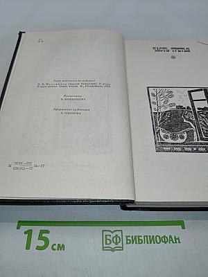 В лесах. Книга вторая
