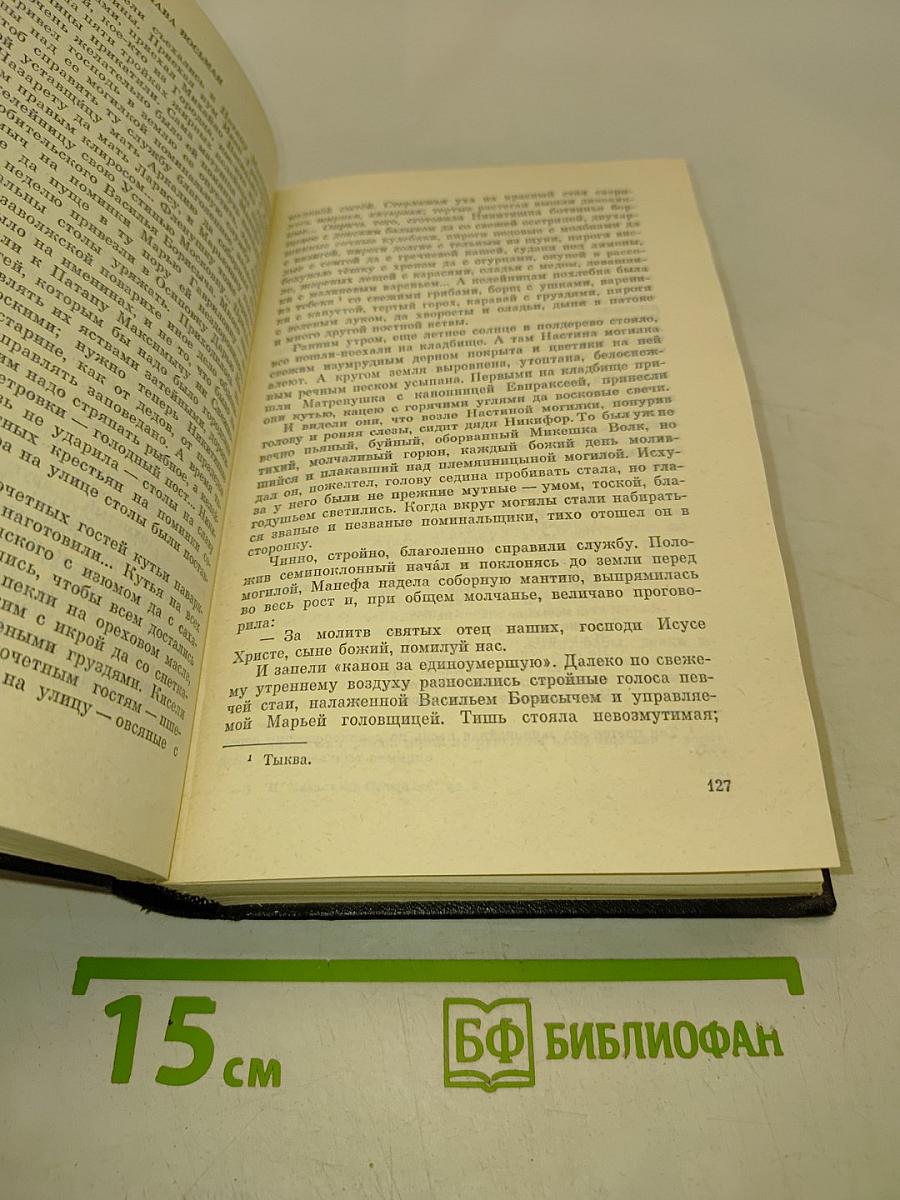 В лесах. Книга вторая
