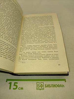 В лесах. Книга вторая