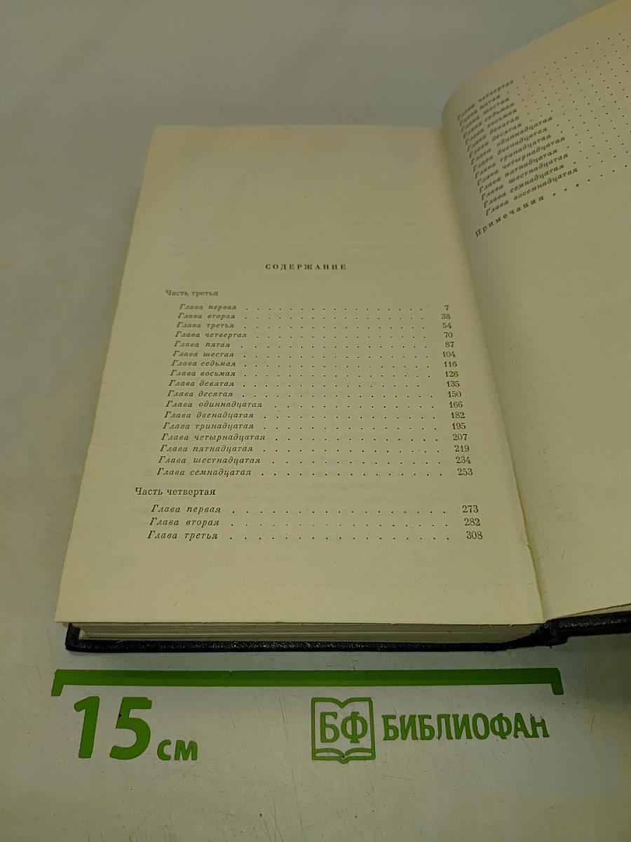 В лесах. Книга вторая