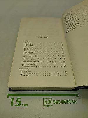 В лесах. Книга вторая