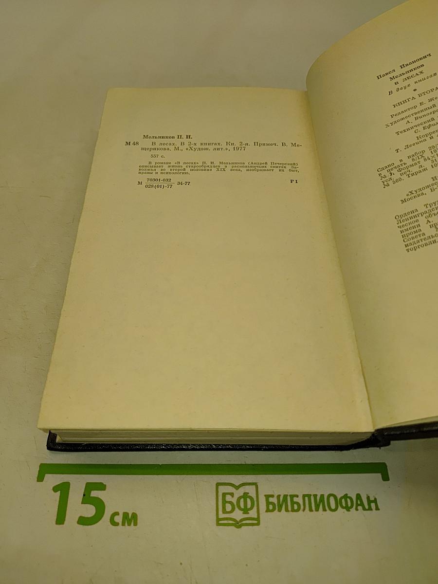 В лесах. Книга вторая