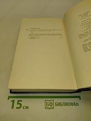 В лесах. Книга вторая