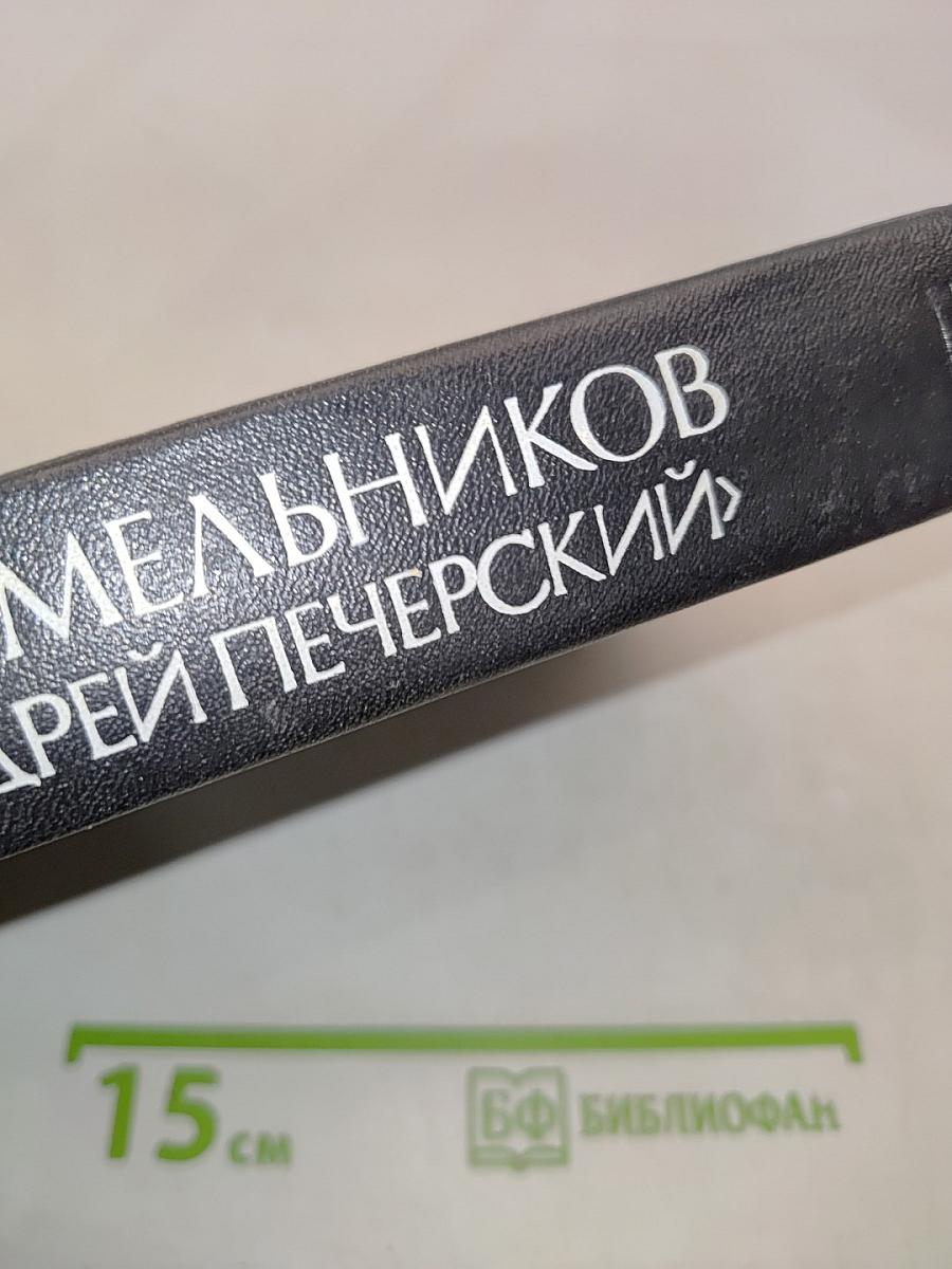 В лесах. Книга вторая