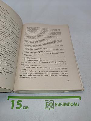 Капитан