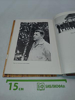 Очерк творчества