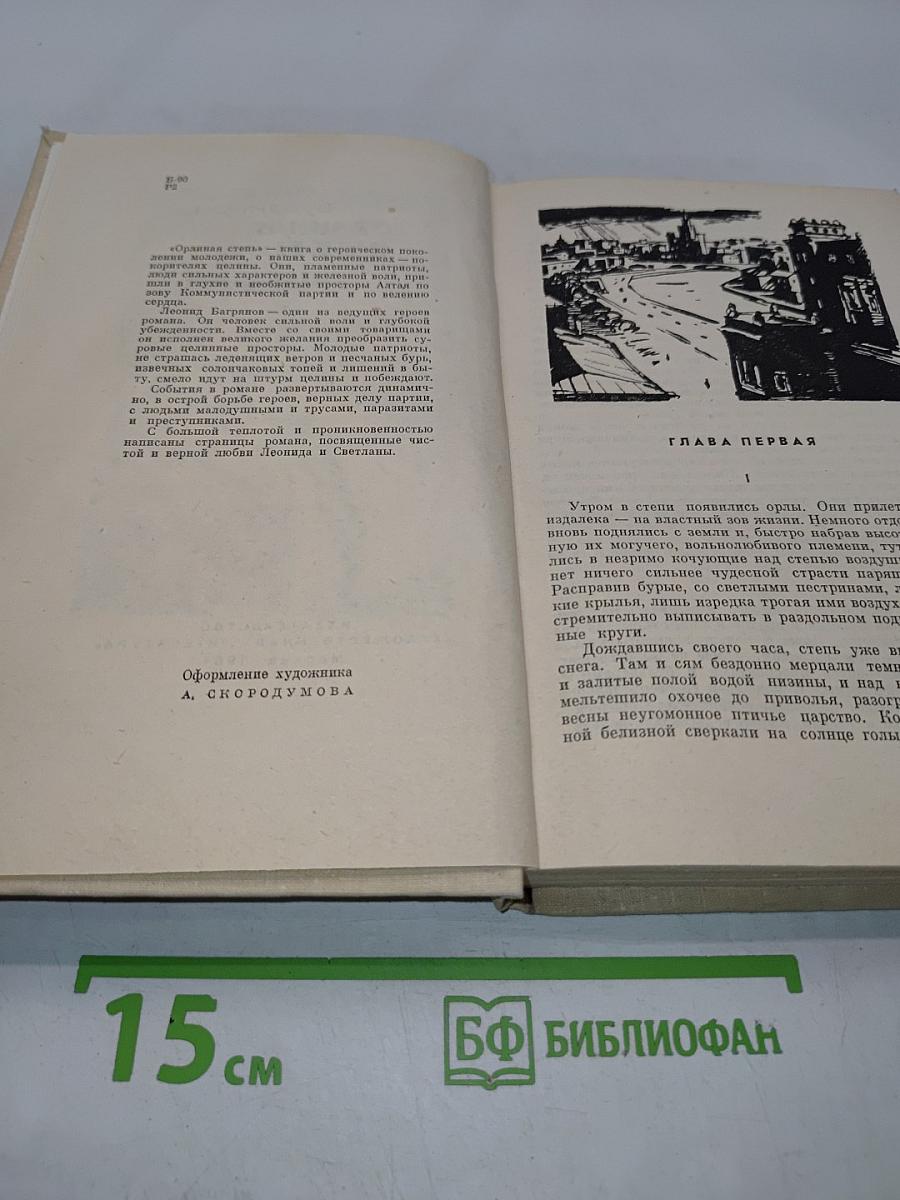 Одиная степь