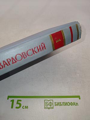 Стихотворения и поэмы в двух томах. Том первый