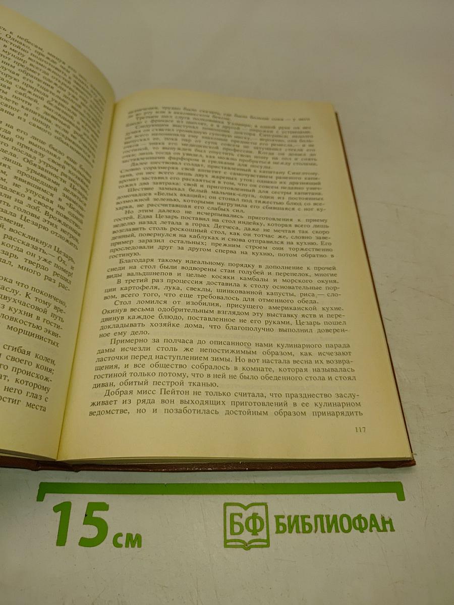 Шпион, или Повесть о нейтральной территории
