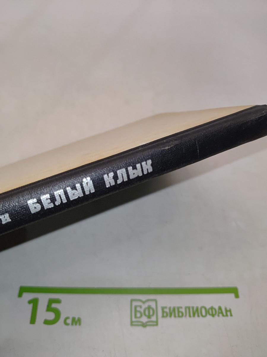 Белый клык