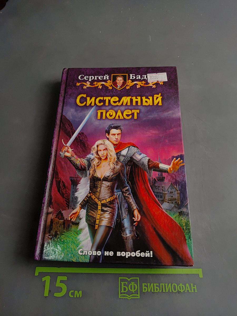 Системный полет