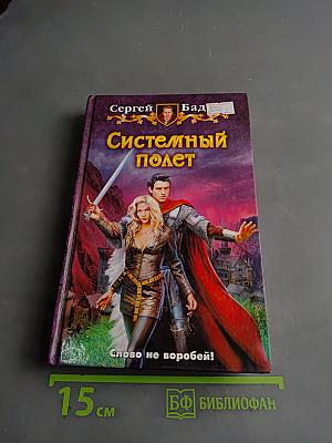 Системный полет