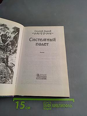 Системный полет